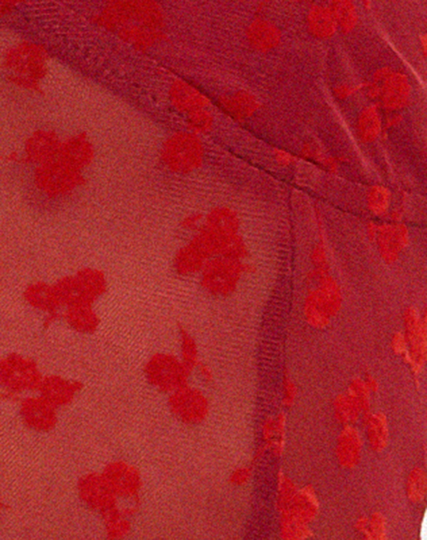 Claryn Corset Top in Red Flock Mesh