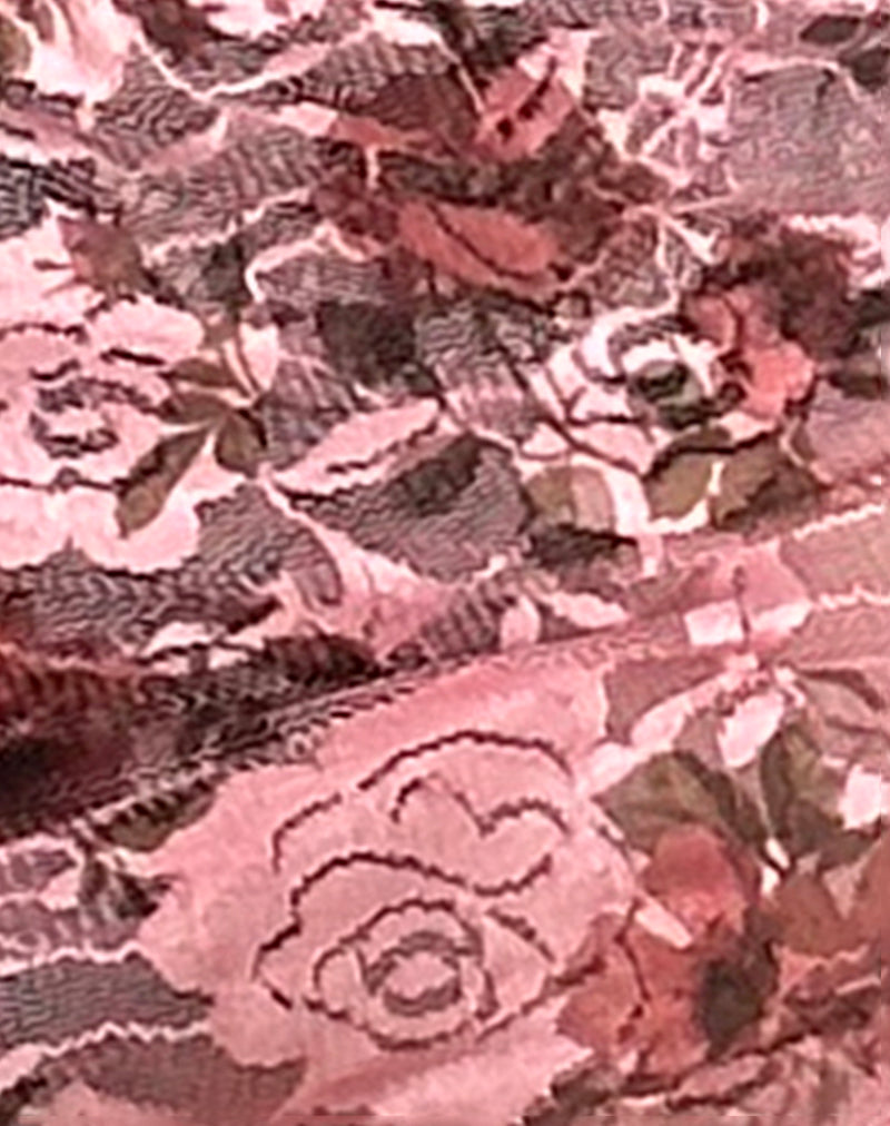 Erna Micro Shorts in Pink Lace Floral Bloom