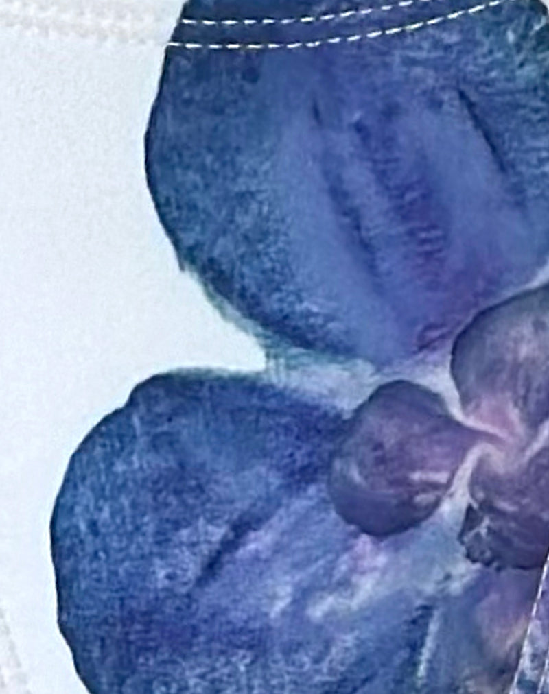 Lentra Bikini Bottom in Ivory with Blue Orchid