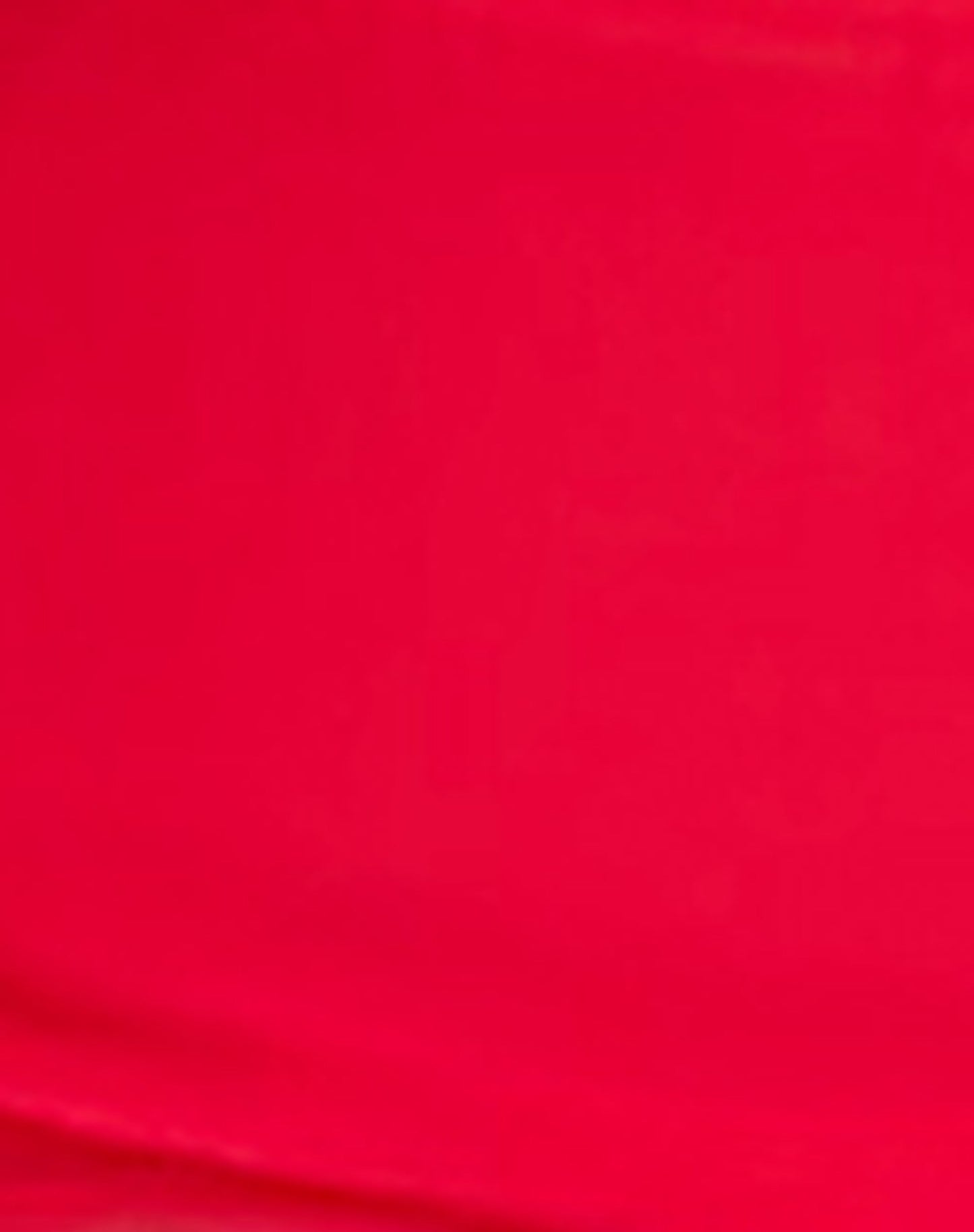 Pami Bikini Top in Scarlet Red