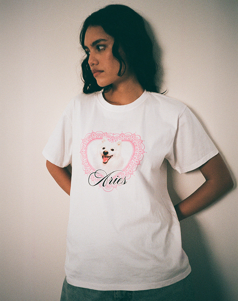Oversize Basic Tee in White with Aries Motel Pet Print