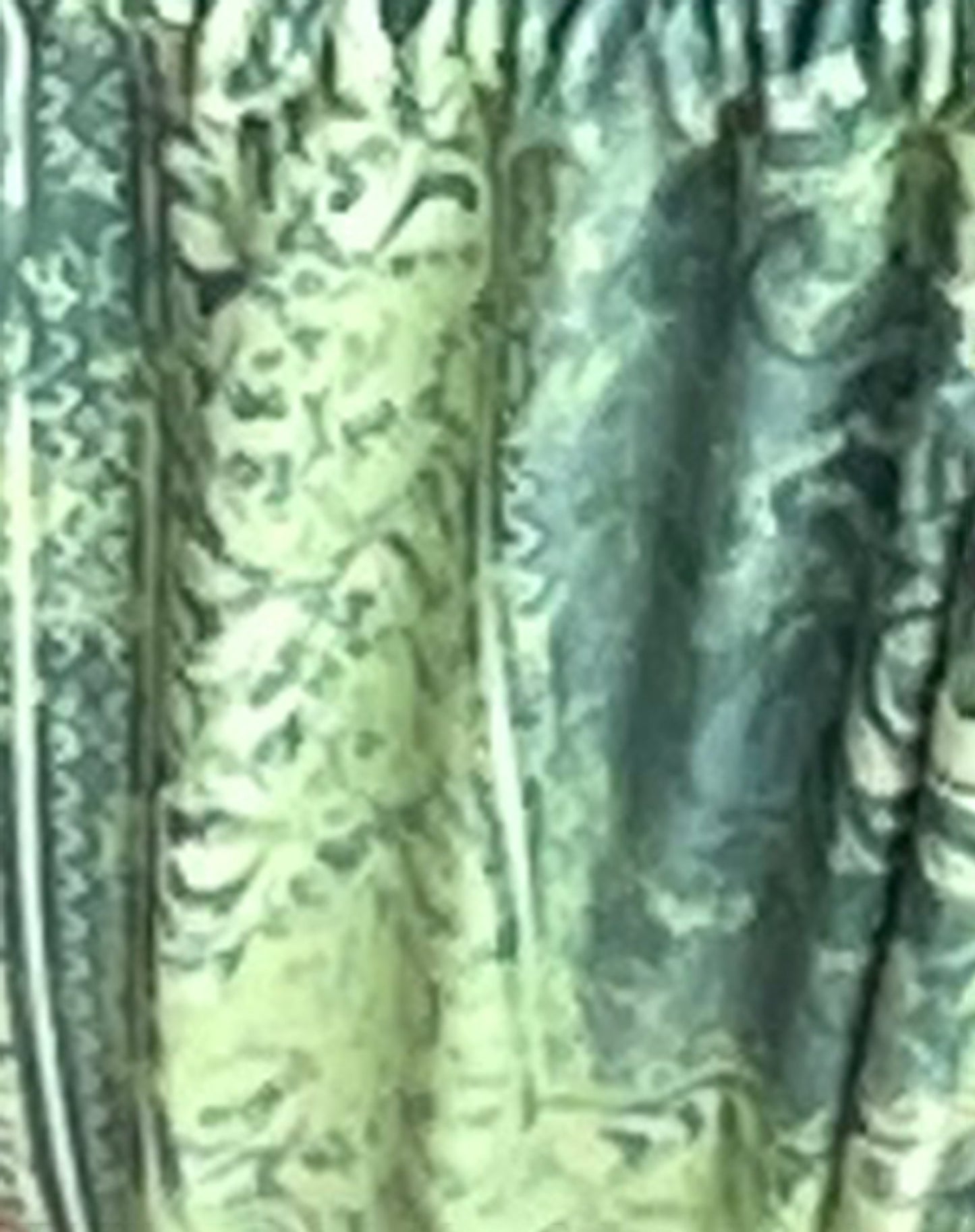 Leyna Bikini Bottom in Abstract Paisley Green